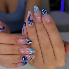 欧美穿戴甲跨境3D立体海豚滴胶穿戴甲片高级感美甲假指甲nails