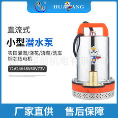 家庭用直流潜水ポンプ船用ポンプ太陽光ポンプ水井農業用電気自動車バッテリーポンプステンレス