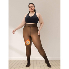 Z 45507 Fleece Sheer Tights ץ��͸��������羳����ͨ����