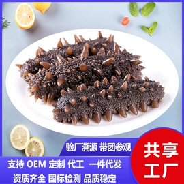 干品/即食海参;海参