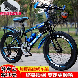 山地自行车;折叠自行车