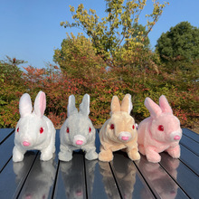 ��ɫƽë���Ӽt�۾� 늄�ë�q��ͯ��� ����������·���H�ӻ���