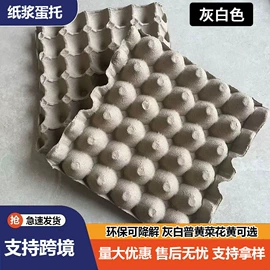 纸浆模塑;塑料蛋托;纸托盘