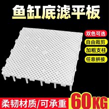 鱼缸底滤板底板乌龟缸专用底部垫板过滤板加密网格隔板滤材底砂板