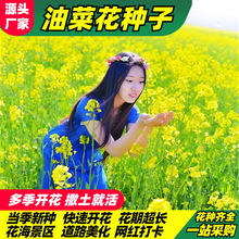 �Ͳ˻��N���^�p�Ͳ����ﲥ��·���^�����ͺ��ļ��Nֲ�������^����
