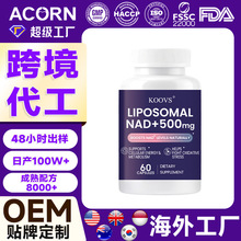 �羳���R�d���N֬�|�wnad��޼�J���z�Ҷ���lLiposomal NAD+�a�䄩