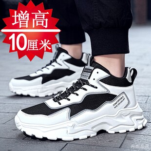 ����͸���������Ь10cm�W���ܲ��\��Ь�Ѓ�����Ь���eЬ���߰�Ь