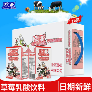 �W��ţ�̲�ݮ�������250g*16��/���������Ʒ�I�B