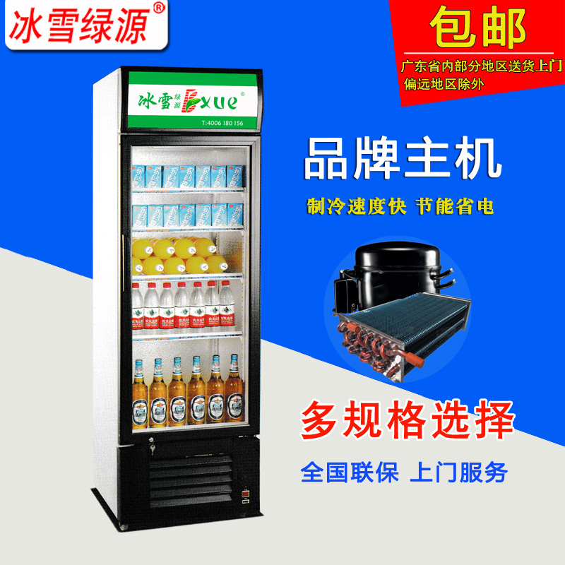 冰雪单开门饮料冰箱商用冷藏展示柜冰柜超市便利店冷柜商用保鲜柜