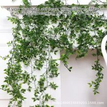 ���R�d�羳���N�Gֲ�ٗl���������ڒ�1.8�������_�b٘��~�Gɫ