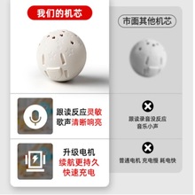 ���R�d늄ӹ����l�����Z��ë�q���USB�ɳ�����܏�����Cо