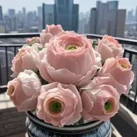 Элегантная группа роз, горная роза, суккулент, комнатный балкон, офис, радиационно-стойкий цветок, простой в обслуживании для новичков