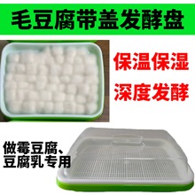 毛豆腐发酵盘密封摆摊塑料工具盘家用自制腐乳盒子大容量老式