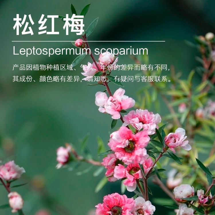 ��Ӧ�ɺ�÷��¶ �ɺ�÷����¶ ���� ��ӭ��ѯ��ⱸ��������