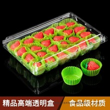 һ���Բ�ݮ���b��ˮ��͸�����Ϻ��Ӳ�ݮ���L���β�ݮ�����