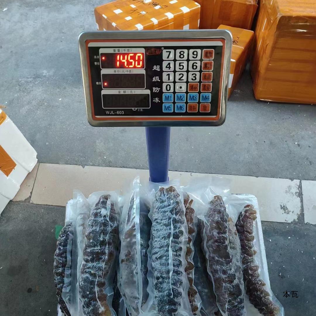 即食海参大海参野生海参大乌参水发厚肉螺纹参食品佛跳墙 2条包邮