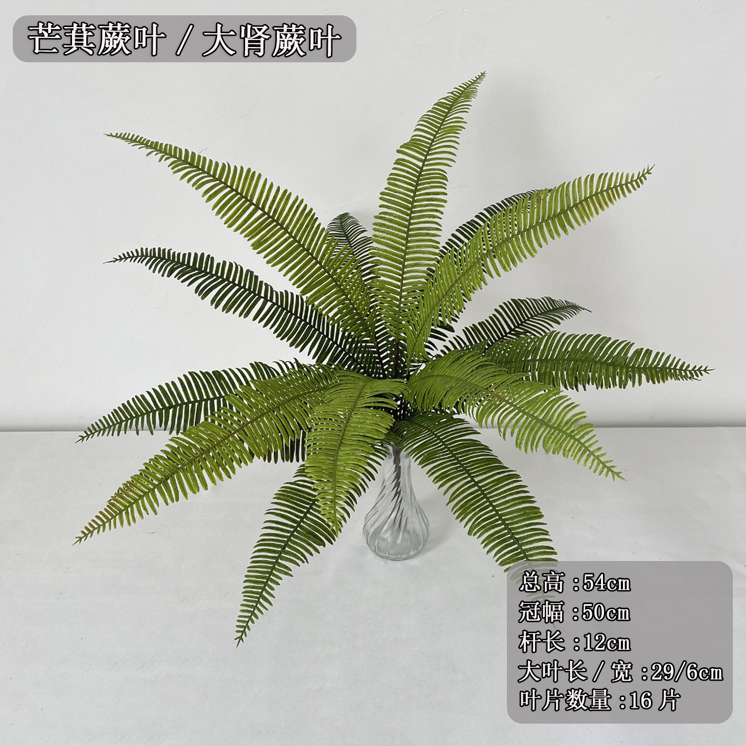 Manufacturers Wholesale Simulated Plants, Various Fern Leaves, Landscaping, Decoration, Popular Flower Arrangements, Persian Leaves, Green Plants