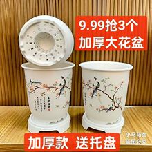 ���մɸߙn�Ӻ��m��������m�G�}���⻨��ŵ�͸�����̎����}