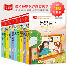 课文作家作品书系彩色的梦大象的耳朵金波四季美文注音版大自然树