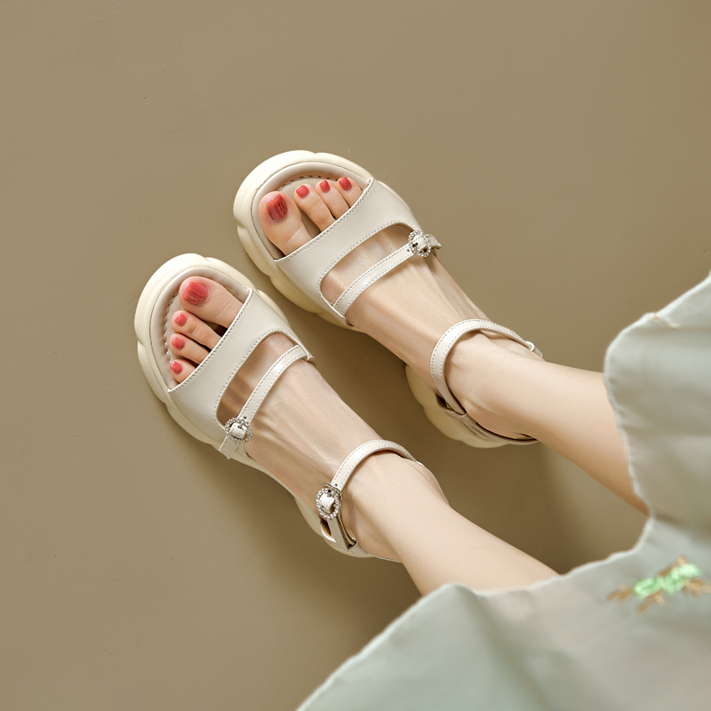 SFA_0416.jpg
