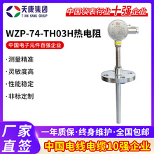 WZP-74-TH03H���������͟��ż�ض�׃����K��늟�ż�ضȂ�����