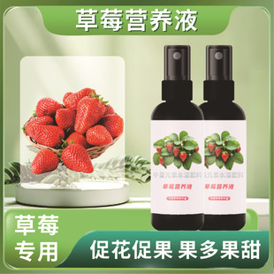 [King of Yield Increase] Strawberry Special Fertilizer Household Non-diluted Nutrient Solution to Promote Growth Results to Prevent Yellow Leaf New Fertilizer