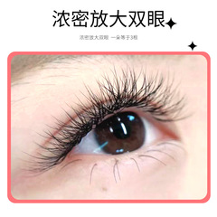 yelix跨境歐美假睫毛自然c卷翹3D一秒開花密排三葉草睫毛嫁接睫毛