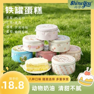 罐子蛋糕300g奶油铁罐盒装多口味甜品西式糕点下午茶零食