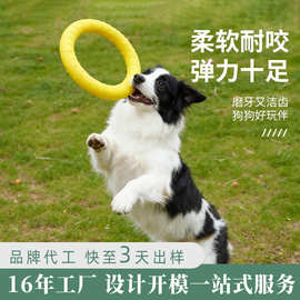 宠物狗狗玩具圈 EVA新款宠物狗狗磨牙耐咬逗狗解闷神器啃咬玩具