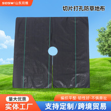 防草布切片打孔除草耐用跨境批发果树果园专用防草布园艺除草布