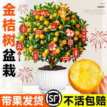 ��ۘ�������Կ�ʳ�Î�����Ƥ�ļ����ӿ͏d�҃Ȼ��ܾGֲ�����l؛