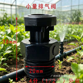 4分塑料灌溉进排气阀 DN16 微喷滴灌喷灌灌溉设备自动排气阀跨境