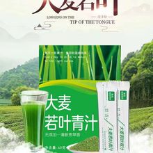 大麦若叶青汁粉官方正品饱腹代餐抹茶粉非酵素益生菌冲饮一件代发