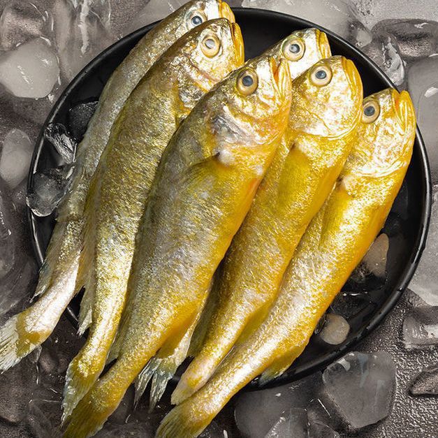 海捕小黄鱼新鲜冷冻黄花鱼整箱海鲜海鱼批发烧烤冻货500g野生