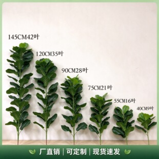 �S�����l���W����ֲ�����~�� �������� �������ņ�֦�zӰ����