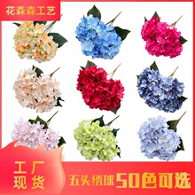 50ɫ����ɫϵ�������潑�򻨻�c�Ƶ���·����׷��滨��Y����