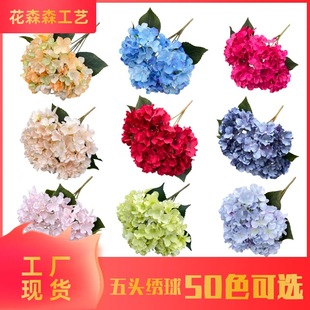 50ɫ����ɫϵ�������潑�򻨻�c�Ƶ���·����׷��滨��Y����