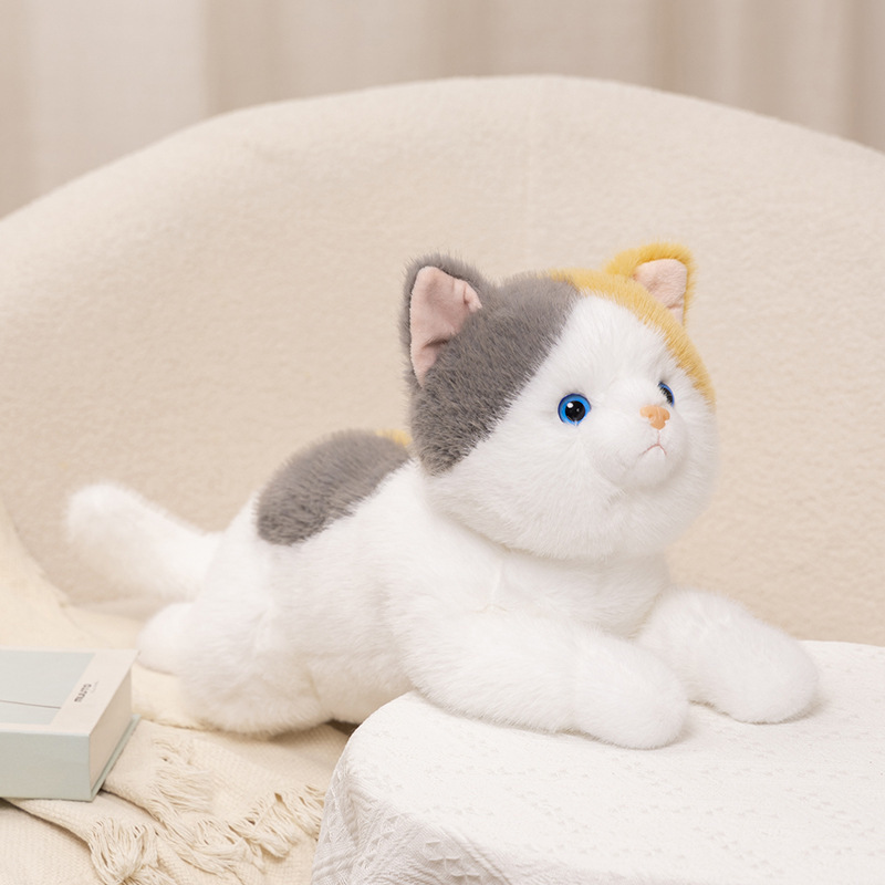 Juguetes de peluche de gato de simulación, muñecos de gatitos lindos, muñecas, muñecas, gatos de algalia, gatos, regalos creativos, gatos