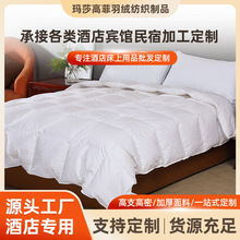 五星级酒店北信标准纯色羽绒被加厚保暖棉被40支防绒布羽绒被批发