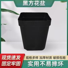 黑方花盆园艺用品多肉小黑方盆黑色多肉育苗盆塑料花盆现货批发