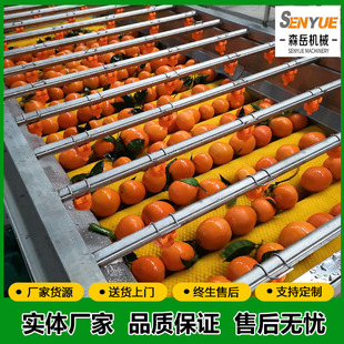 �Ƥ����ϴ���x��һ�w�C ëˢϴ���LͲ�x���༉���x������ϴ�C