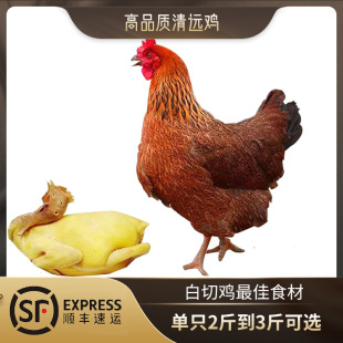 ���h�u���ڏV�|���h�u�����uɢ�B���u�ߵ��u���S�u���u���2����