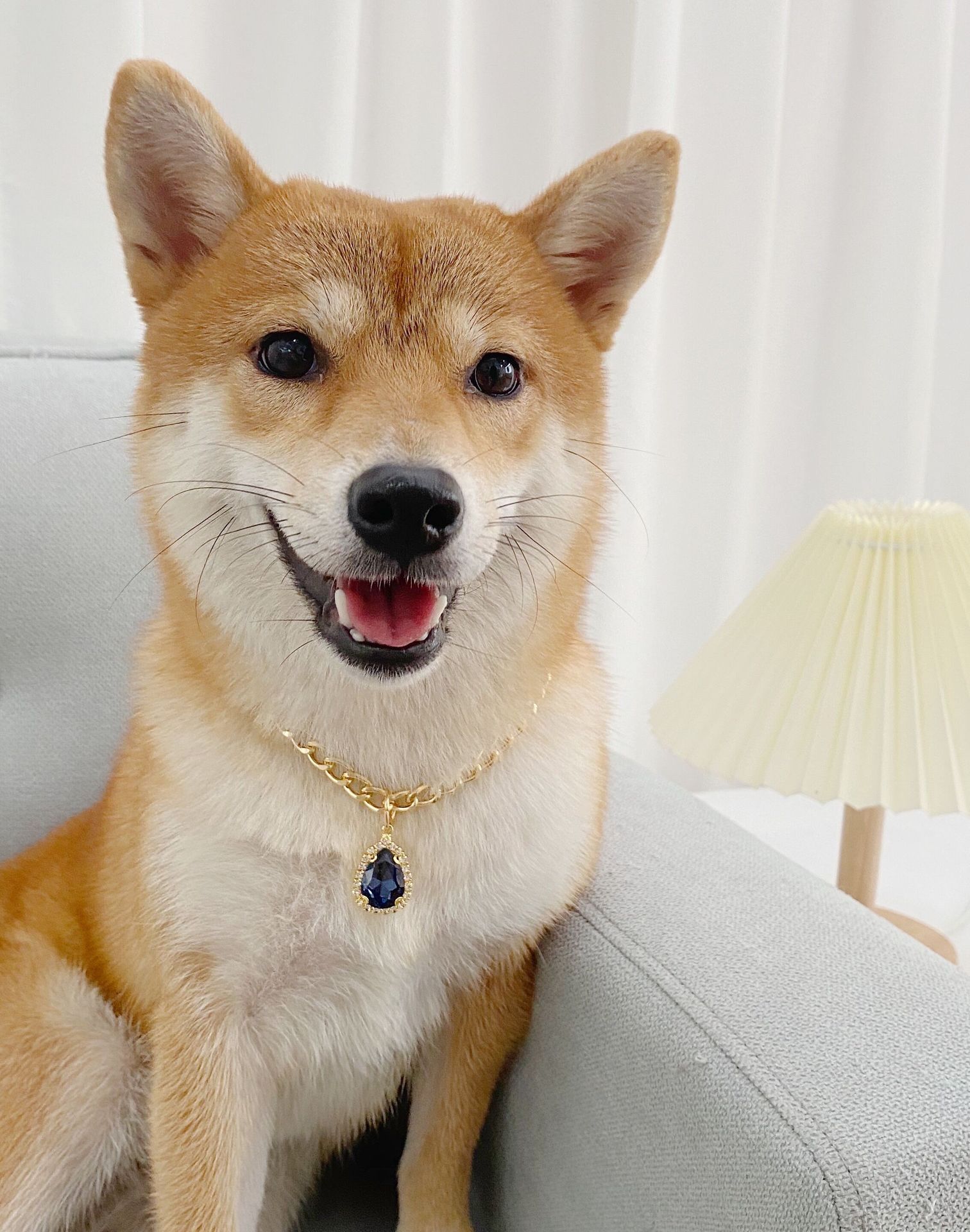 QQ图片20211027121728