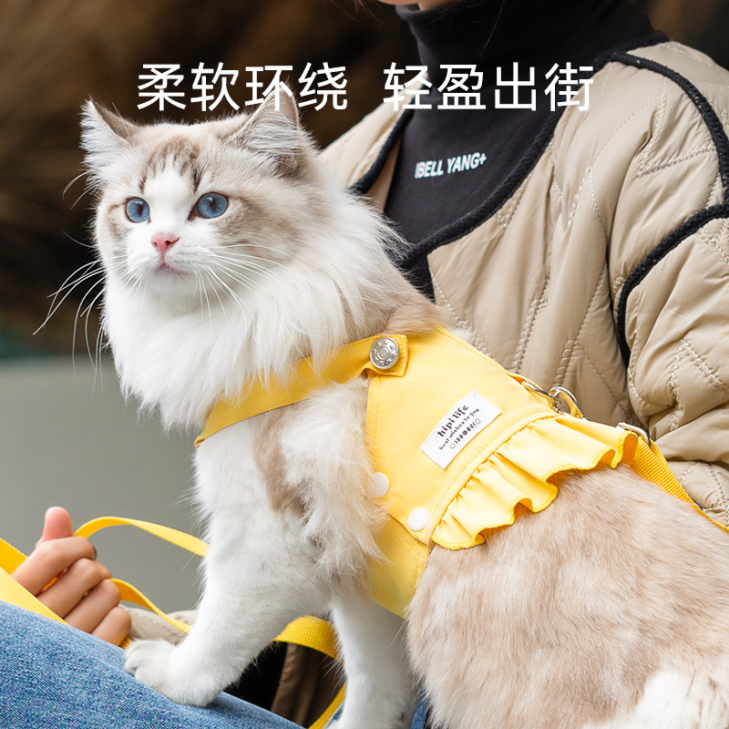 Gato fuera chaleco vestido en una cuerda de tracción de dopamina para perros Teddy para caminar cuerda para perros cuerda para mascotas