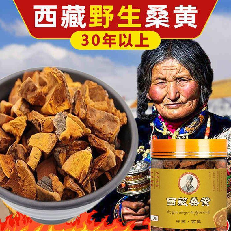 西藏野生桑黄30年西藏桑树桑黄野生金边桑黄灵芝桑真货