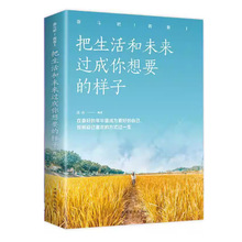 把生活和未来过成你想要的样子 正版青春文学小说励志书