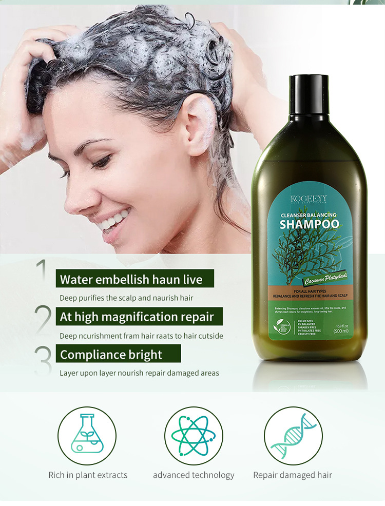 KOGEEYY Cross-border Exclusive Platycladus orientalis Leaf Oil-Control Shampoo, Plant-based Anti-dandruff and Anti-itch Shampoo 500ml undefined