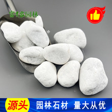 建筑铺路透水石子白色园林铺面石 佛山水洗石富贵家机磨鹅卵石子