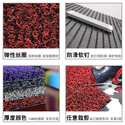 Avtomobil döşəmə paspasları Floor Mat Home Corridor Hall Door