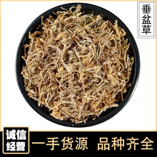 �����500��ʯָ�ݷ�ײݸ�؛������ݲ���ș�Ĵ�ȫ���l���l